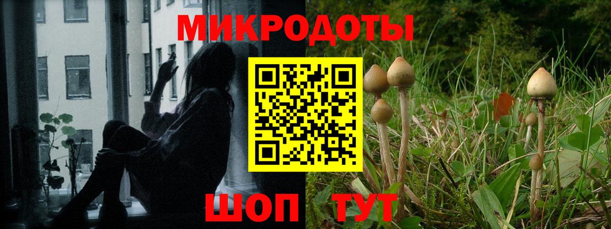 Нефтекамск  Галлюциногенные грибы ЛСД  Вход с VPN  Псилоцибиновые грибы прущие грибы 